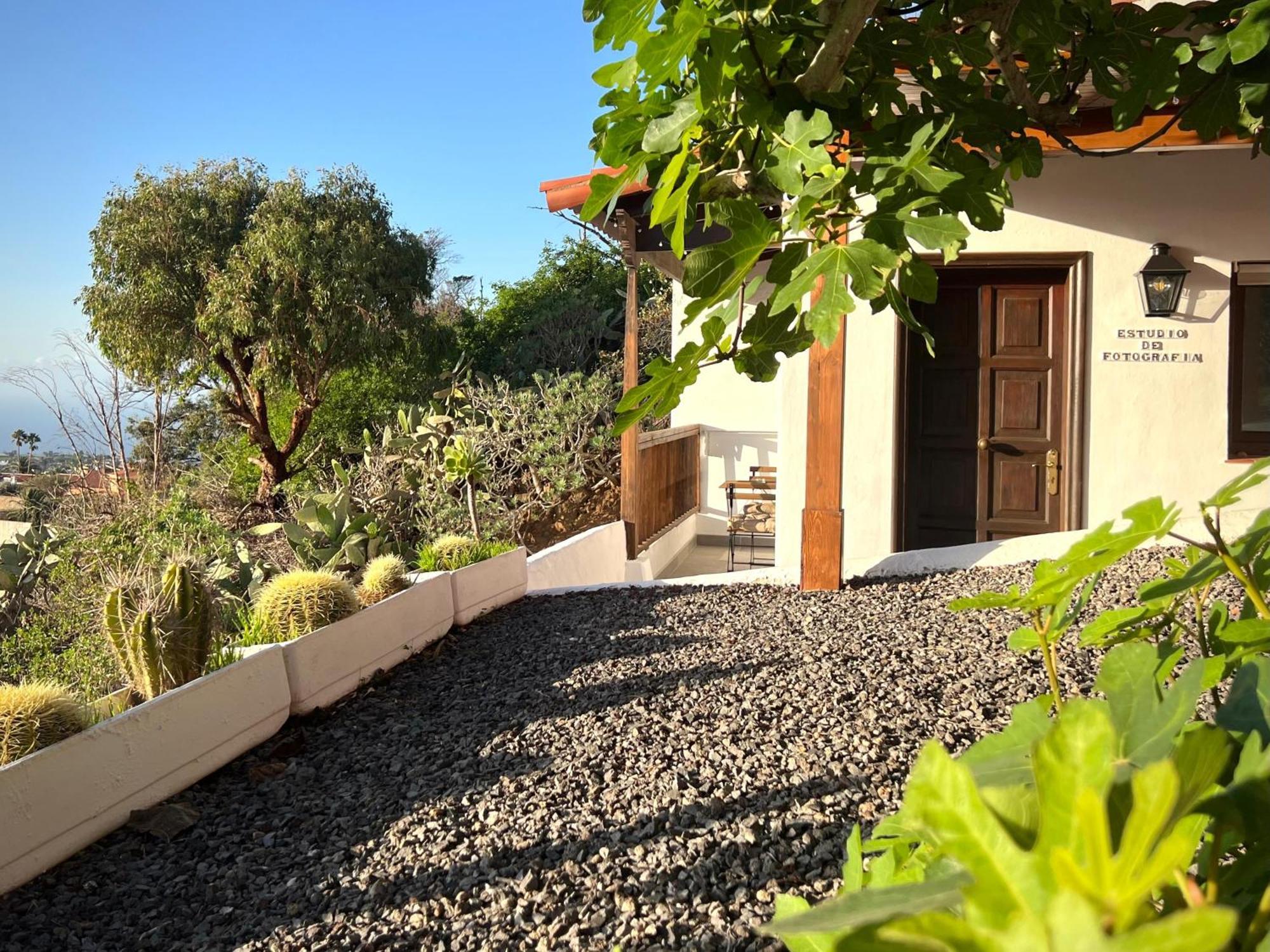 Estudio Ideal Para Descansar Santa Cruz de Tenerife Buitenkant foto